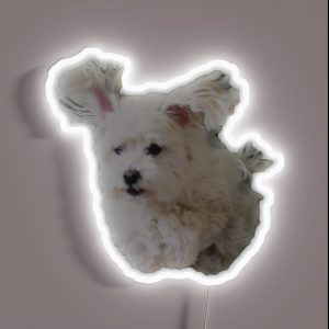 Moby RGB Neon Sign Moby RGB Neon Sign