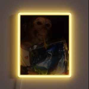 Monkey Drinking Caprisun RGB Neon Sign