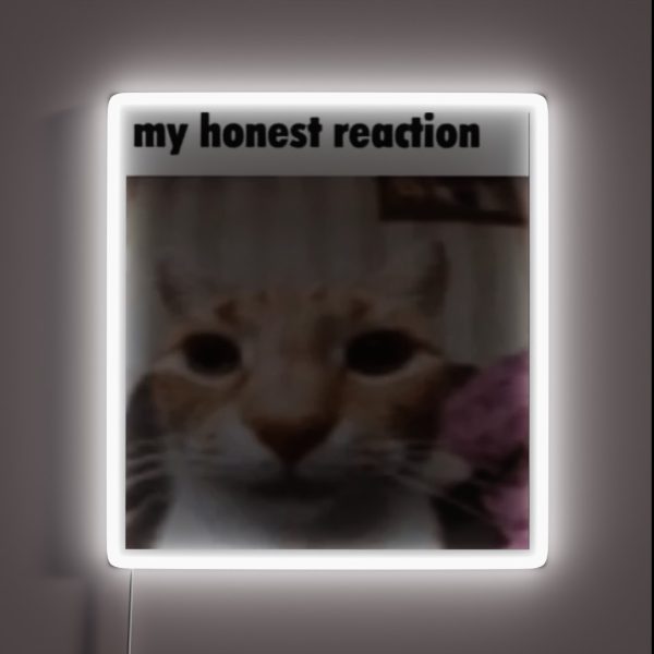My Honest Reaction RGB Neon Sign