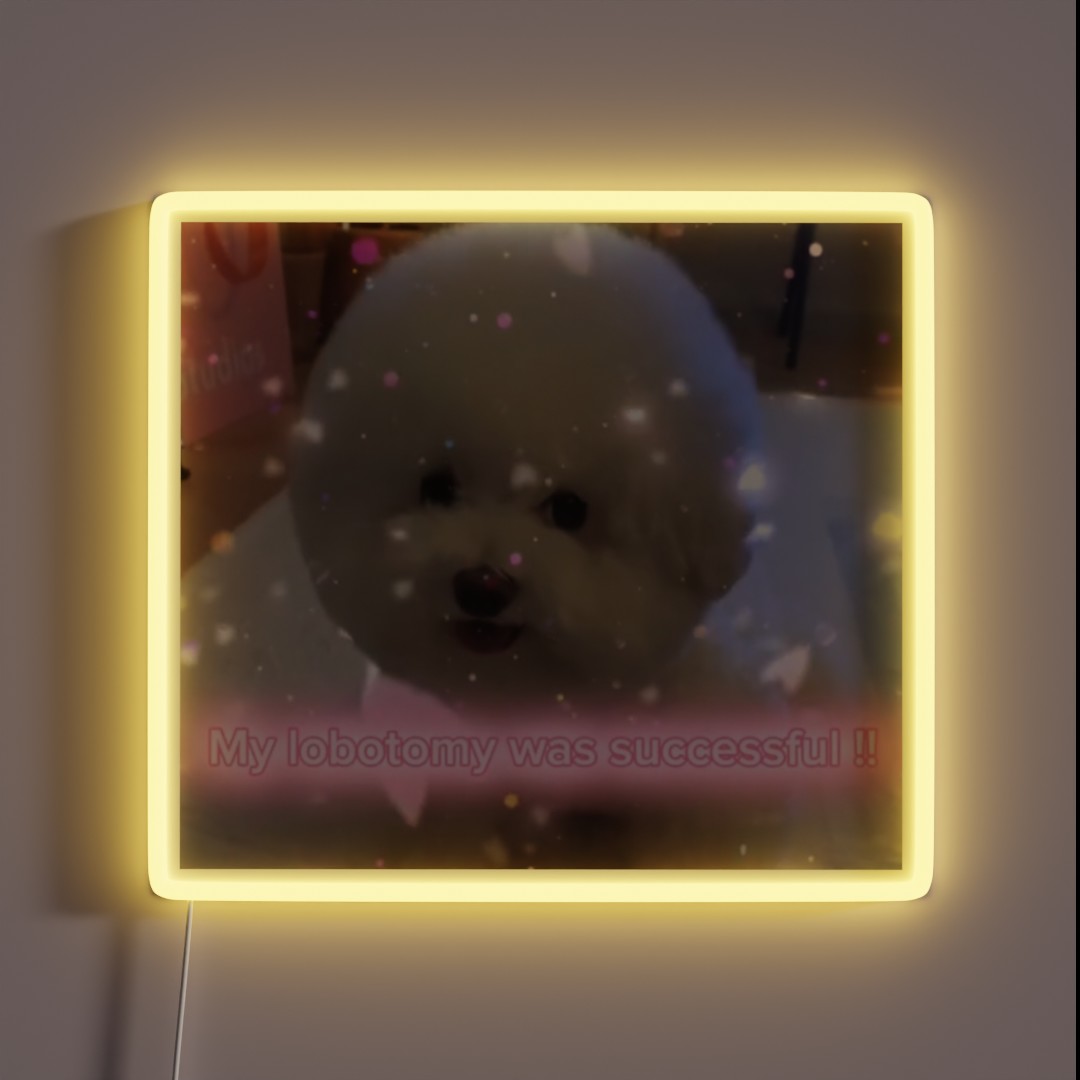 My Lobotomy Was Successful RGB Neon Sign My Lobotomy Was Successful RGB Neon Sign