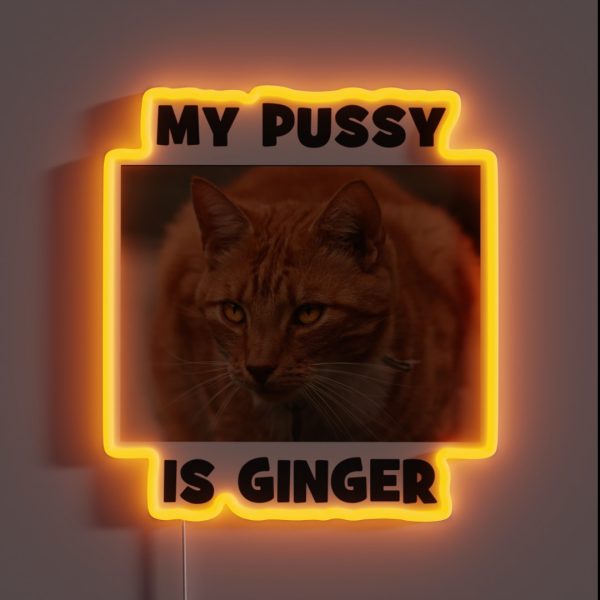 My Pussy Is Ginger Cheeky Double Entendre Cat RGB Neon Sign
