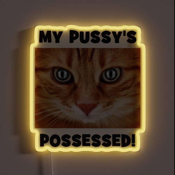 My Pussy S Possessed Cheeky Double Entendre RGB Neon Sign