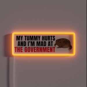 My Tummy Hurts And I M Mad At The Government Anti Government Funny Political Bumper RGB Neon Sign