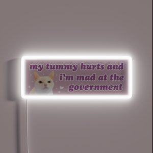 My Tummy Hurts And I M Mad At The Government Funny Bumper RGB Neon Sign