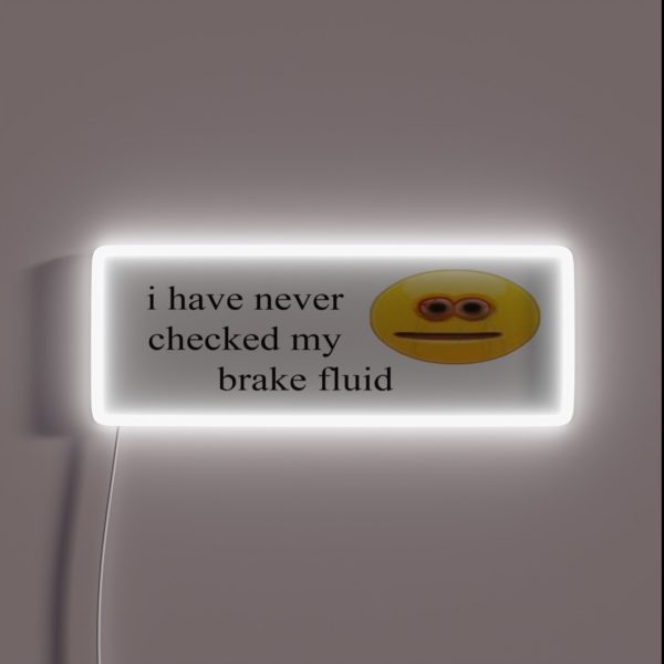Never Checked My Brake Fluid RGB Neon Sign