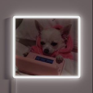 Nintendog RGB Neon Sign