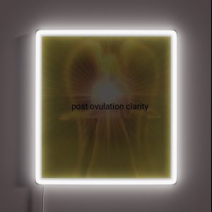 No Bby Fever For Me RGB Neon Sign