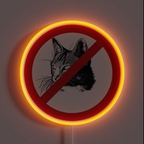 No Cats Allowed RGB Neon Sign