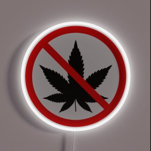 No Marijuana Allowed Red Circle With Slash Simple Prohibition Sign RGB Neon Sign