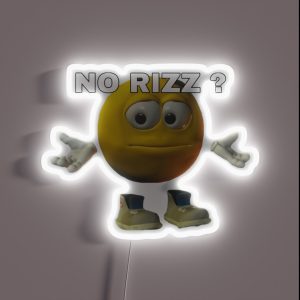 No Rizz Meme RGB Neon Sign