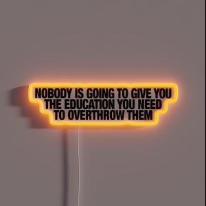 Nobody Is Going To Give You The Education You Need To Overthrow Them RGB Neon Sign