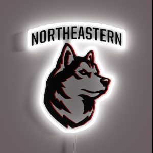 Northeastern Huskies Ice Hockey Football RGB Neon Sign Northeastern Huskies Ice Hockey Football RGB Neon Sign