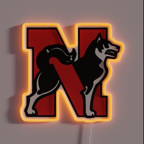Northeastern University Special Series 03 RGB Neon Sign