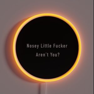 Nosey Little F Ucker Arent You RGB Neon Sign