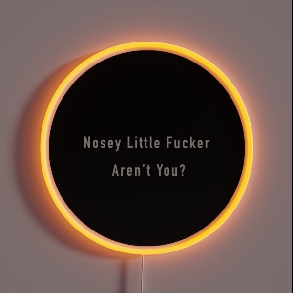 Nosey Little F Ucker Arent You RGB Neon Sign