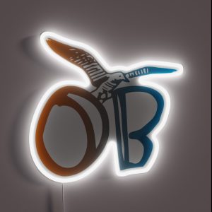 OB Ocean Beach Seagull Orange Blue Grad RGB Neon Sign