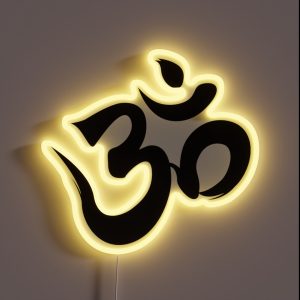 Ohm RGB Neon Sign