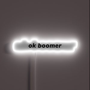 Ok Boomer Meme RGB Neon Sign