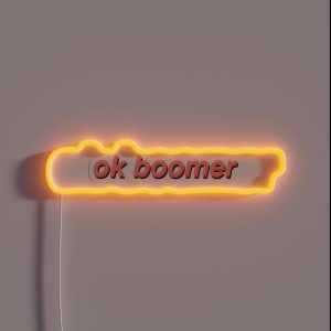Ok Boomer RGB Neon Sign