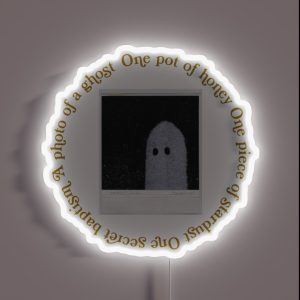 One Pot Of Honey One Piece Of Stardust One Secret Baptism A Photo Of A Ghost RGB Neon Sign