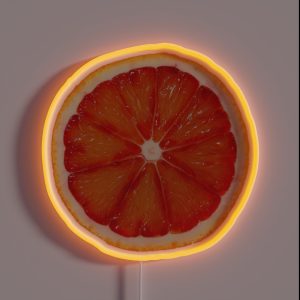 Orange Slice RGB Neon Sign