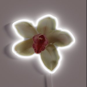 Orchid Flower RGB Neon Sign