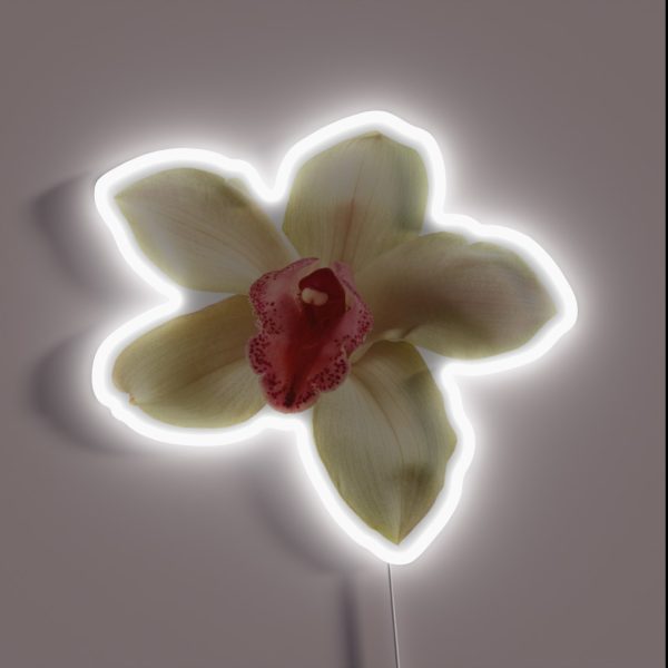 Orchid Flower RGB Neon Sign