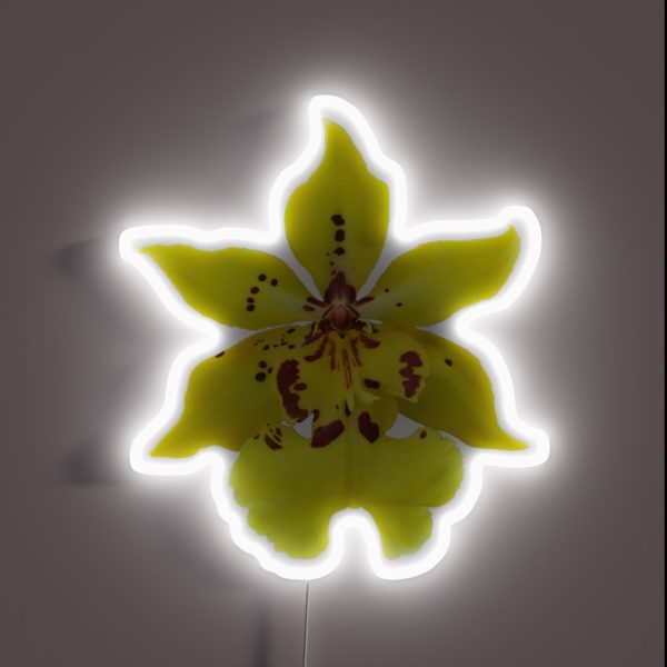 Orchid RGB Neon Sign