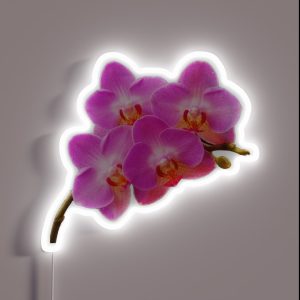 Orchidae RGB Neon Sign