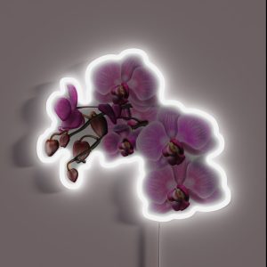 Orchids In Bloom RGB Neon Sign