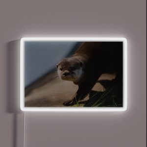 Otterly Close RGB Neon Sign