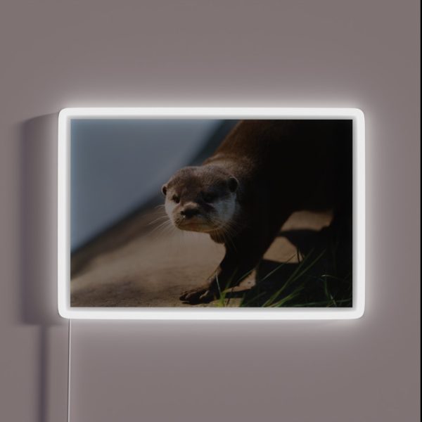 Otterly Close RGB Neon Sign