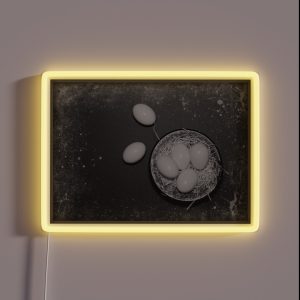Over Easy Or Scrambled Your Choice RGB Neon Sign