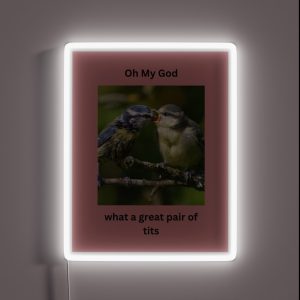 Pair Of Great Tits RGB Neon Sign Pair Of Great Tits RGB Neon Sign