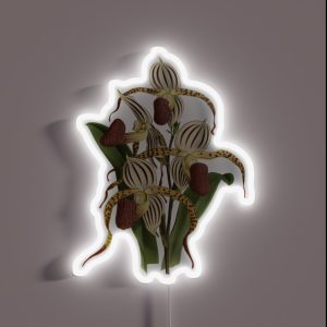 Paphiopedilum Stonei Orchid RGB Neon Sign