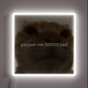 Paypal Me 30000 Usd Cat Meme RGB Neon Sign