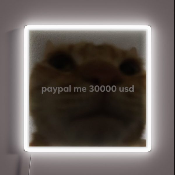Paypal Me 30000 Usd Cat Meme RGB Neon Sign