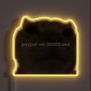 Paypall Me 30000 Usd Meme Tweet RGB Neon Sign