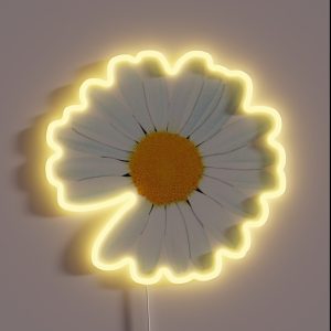 PEACEMINUSONE RGB Neon Sign