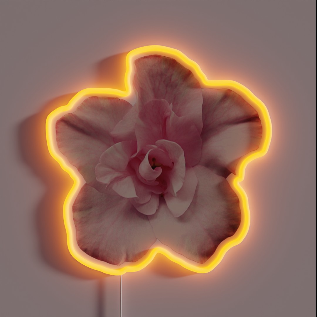 Pink Azalea RGB Neon Sign Pink Azalea RGB Neon Sign