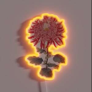 Pink Chrysanthemum 3 Hasegawa Traditional Japanese Style Botanical Illustration RGB Neon Sign