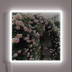 Pink Rose Arch RGB Neon Sign