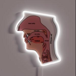 Place Of Articulation Linguistics SLP RGB Neon Sign Place Of Articulation Linguistics SLP RGB Neon Sign