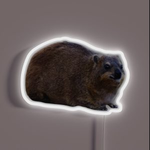 Plain Rock Hyrax RGB Neon Sign Plain Rock Hyrax RGB Neon Sign