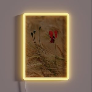 Poppy And Barley RGB Neon Sign