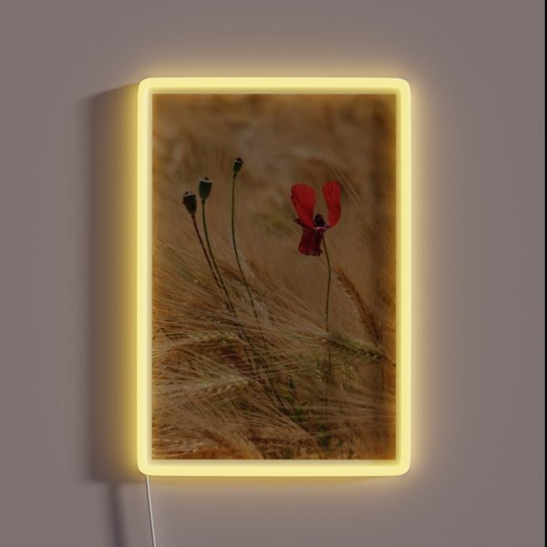 Poppy And Barley RGB Neon Sign