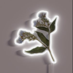 Pressed Dried Comfrey Flower RGB Neon Sign