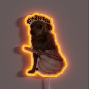 Quieres RGB Neon Sign