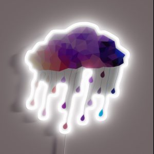 Raindrop Cloud RGB Neon Sign