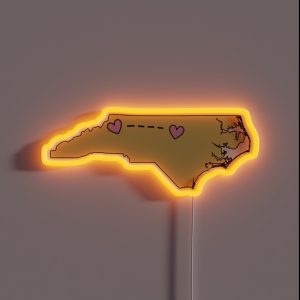 Raleigh Boone RGB Neon Sign